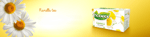 picwick herba tea kamilla banner