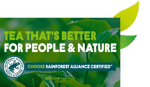 rainforest alliance tea leafs